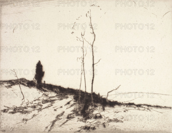 Road and Cedar Tree, about 1925. Creator: Chauncey Foster Ryder.