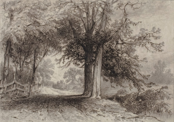 Landscape, 1877. Creator: James David Smillie.