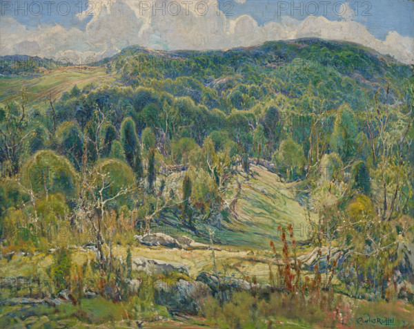 Mid-Summer, 1920. Creator: Charles Reiffel.