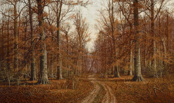 Beech Trees, date unknown. Creator: William M Snyder.