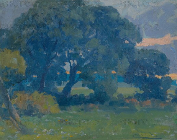 Meadow with a Group of Trees, around 1910. Creator: Ludovit Cordak.