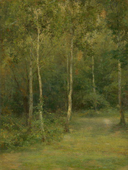 Wooded Landscape with Little Birches, 1894-1896. Creator: Ludovit Cordak.