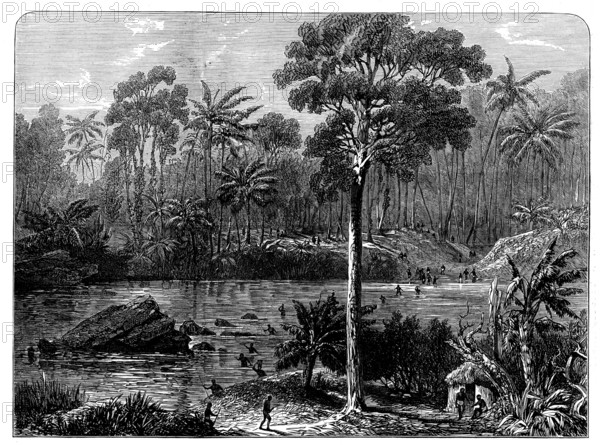 Ashantee Sketches: the River Prah and the Forest of Assin, 1873. Creator: Unknown.