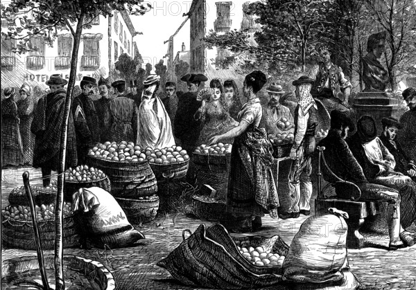 Spanish Sketches: the fruit market, Malaga, 1873. Creator: Unknown.