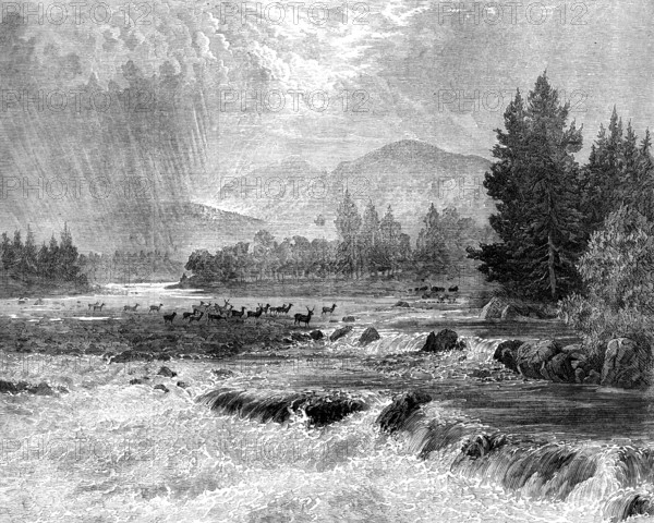 Passing Showers - Forest of Glentanner, Aberdeenshire, by E. A. Waterlow, 1873. Creator: Unknown.