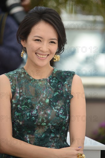 Zhang Ziyi, Festival de Cannes 2013