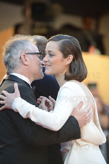 Marion Cotillard, Festival de Cannes 2013