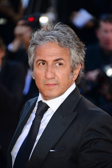 Richard Anconina, Festival de Cannes 2014