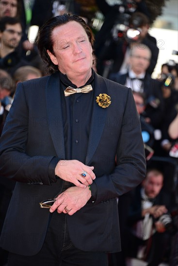 Michael Madsen, Festival de Cannes 2014