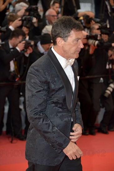 Antonio Banderas