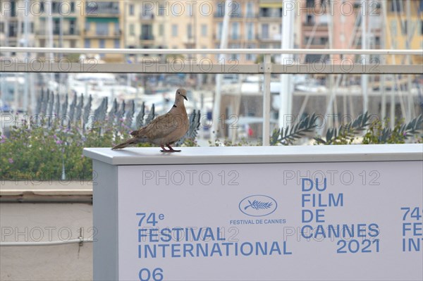 Photocall, Festival de Cannes 2021