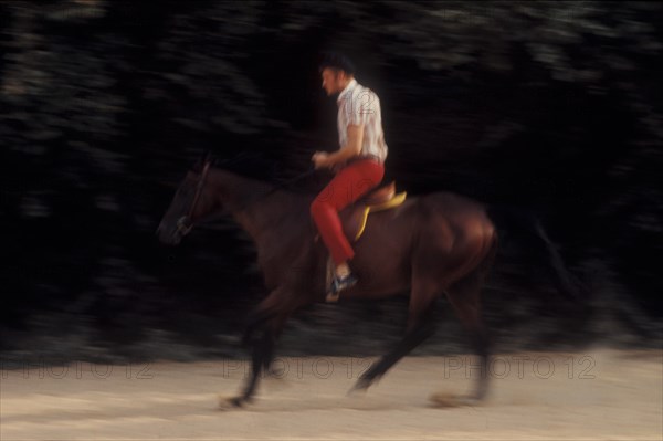 Johnny Hallyday