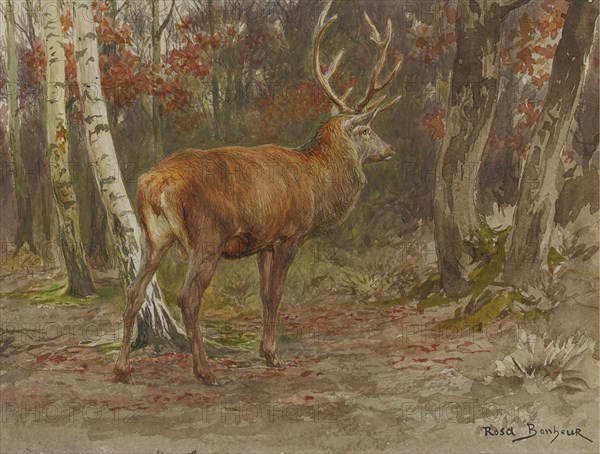 Rosa Bonheur - Stag on the Watch