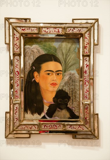 Fulang-Chang and I by Frida Kahlo at the MOMA in New York City, USA