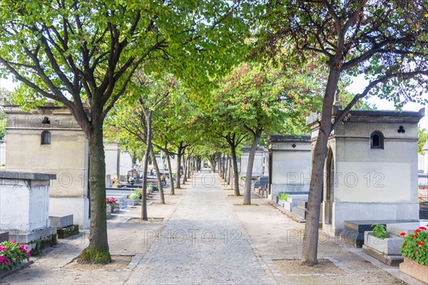 Deserted road in Montparnasse Cemetery