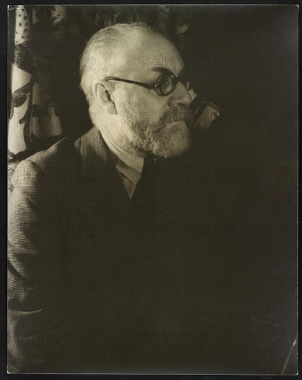 Portrait of Henri Matisse LCCN2004663296