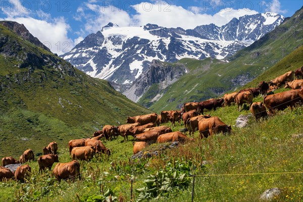 03.07.2016 Pralognan-la-Vanoise, Savoie, France, Hikking the GR5 long distance path in the Vanoise Mountains in the Savoie reigon of France