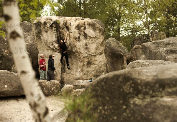 A woman climbs while two men spot her from below at the climbing boulders rocks and trees within the climbing and bouldering forest of Fontainebleau n