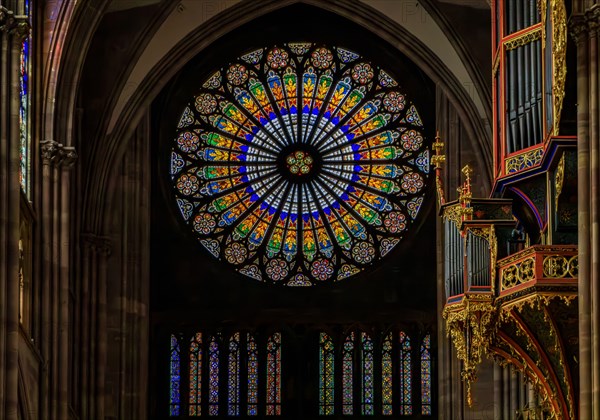 Strasbourg, France - June 3, 2023: Ornate stained glass rose window and organ in the beautiful Gothic cathedral of the Notre Dame, historic center