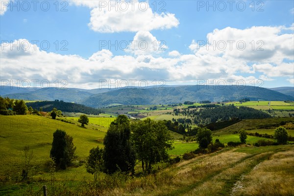 View towards Mont Lozère from near les Alpiers de Bleymard on the Robert Louis Stevenson Trail in the Cévennes, Lozère, France