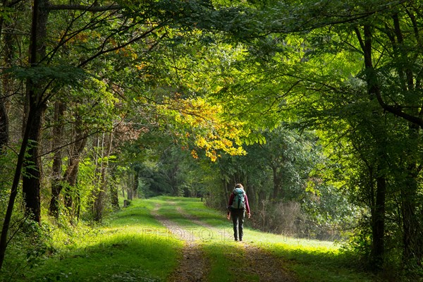 Walker on old railway on the Robert Louis Stevenson Trail in the Mimente valley in the Cévennes, Lozère, France