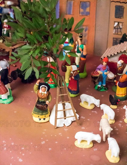 Christmas Crib (detail) : Olive picker