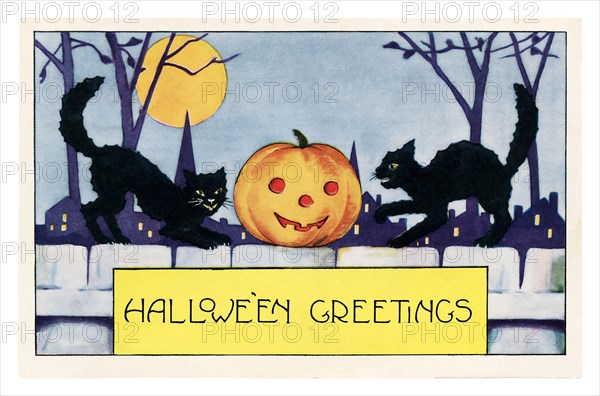 Vintage Halloween greeting card / postcard. Early 1900s. Halloween Greeints feat. two black cats on a fence with a pumpkin.