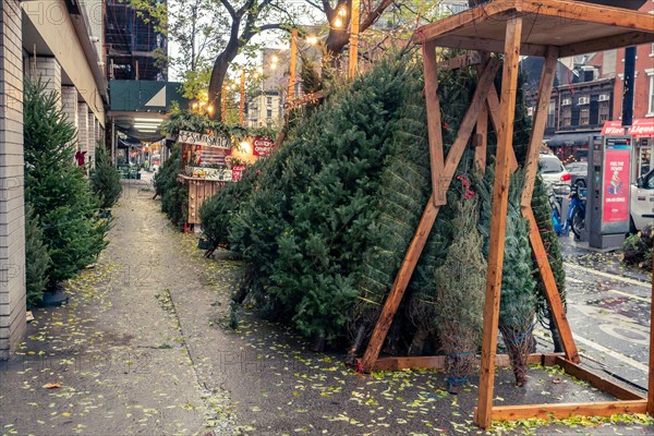 Christmas tree seller’s forest in the Chelsea neighborhood of New York on Wednesday, November 30, 2022.  (© Richard B. Levine)