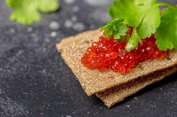 Grain crispbreads with red caviar and parsley at black background. Tasty sandwich, Christmas dish