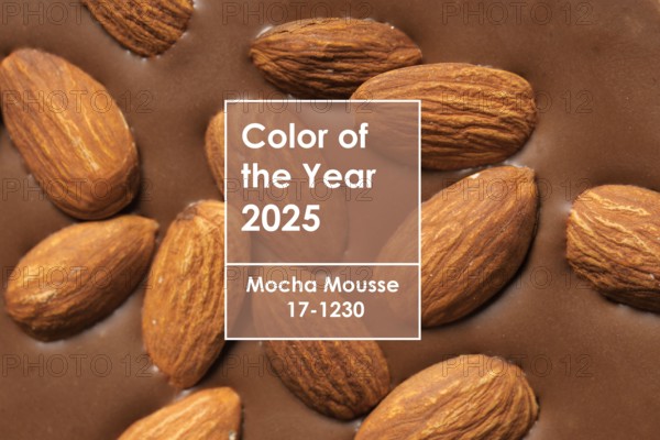 Texture of sweet chocolate with almonds, closeup. Mocha Mousse - color of year 2025