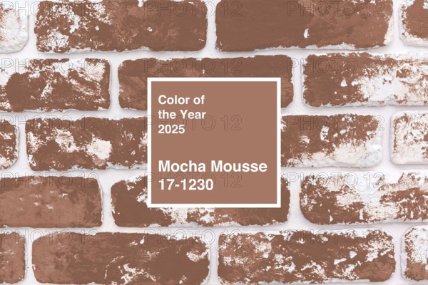 Mocha Mousse color of the year 2025 displayed on a textured brick wall showcasing a warm, inviting palette for contemporary design