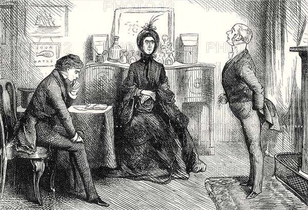 David Copperfield, "You have heard Miss Murdstone," said Mr. Spenlow, turning to me. "I beg to ask, Mr. Copperfield, if you have anything to say in reply?"