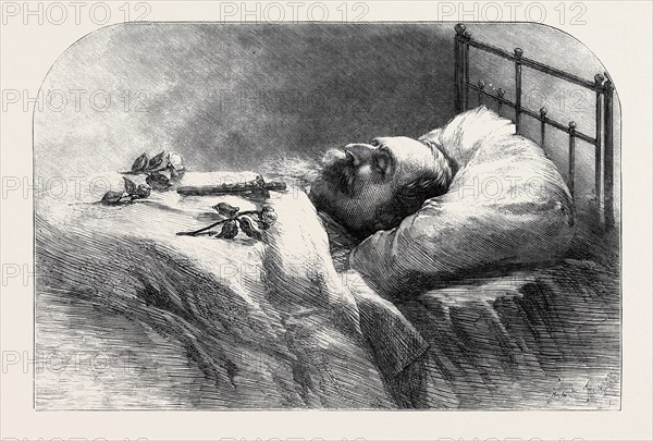 NAPOLEON III. AFTER HIS DEATH, 1873