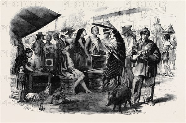 CHINESE CHOW-CHOW SELLERS AT MANILLA