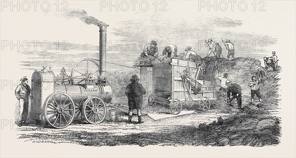 HORNSBY'S PORTABLE STEAM ENGINE AND THRESHING MACHINE, THE GREAT EXHIBITION