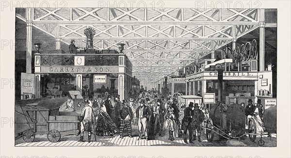 THE AGRICULTURAL DEPARTMENT, The extra attraction of the Cattle Show at WIndsor has brought an immense number of agriculturalists from all parts of England, and, as may be expected, Class 9 of the Greatest Exhibition has been unusually crowded of late