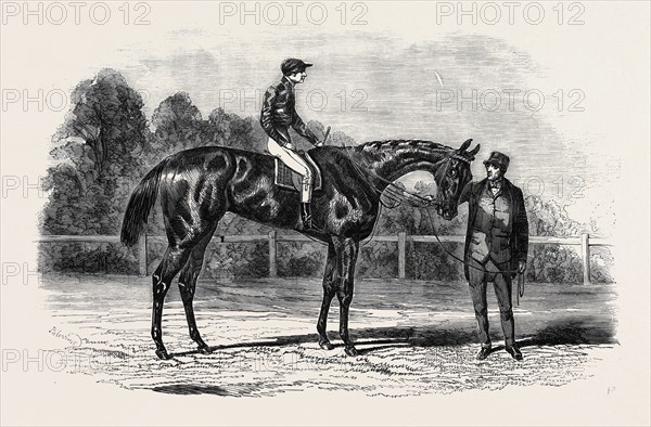 "NANCY," WINNER OF THE GOODWOOD CUP, 1851