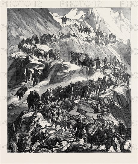 THE YARKUND MISSION: MULES AND BAGGAGE-TRAIN GOING OVER THE GRIM (SANJOO) PASS, 1874