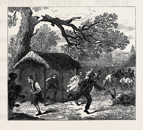 THE ASHANTEE WAR: FALL OF A TREE IN CAMP, 1874