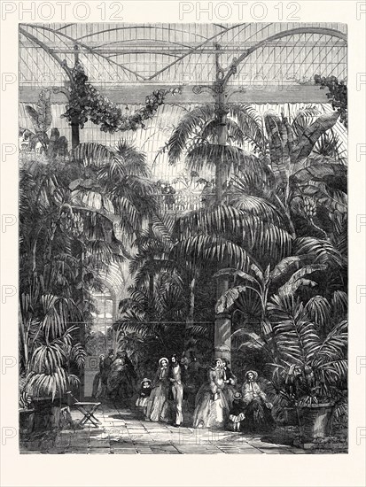 CENTRE OF THE GREAT PALM-HOUSE AT THE ROYAL BOTANIC GARDENS OF KEW