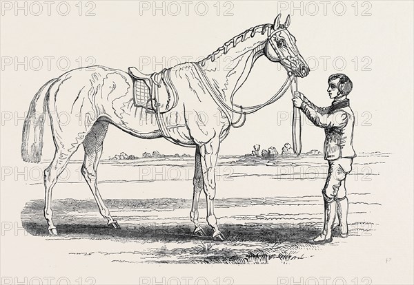 "ALICE HAWTHORN," THE WINNER OF THE GOLD VASE, AT ASCOT RACES, FROM A PAINTING BY HERRING