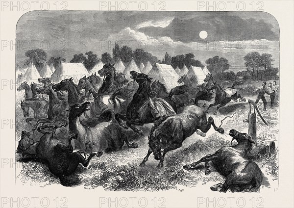 STAMPEDE OF CAVALRY HORSES AT ALDERSHOTT CAMP, 1871