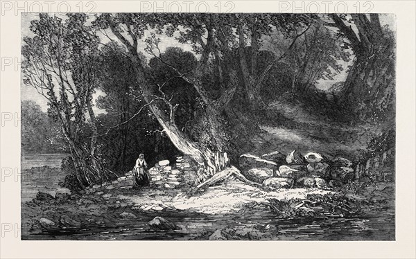 "THE WOODLAND GLADE," BY G. CHESTER, FROM THE ROYAL ACADEMY EXHIBITION