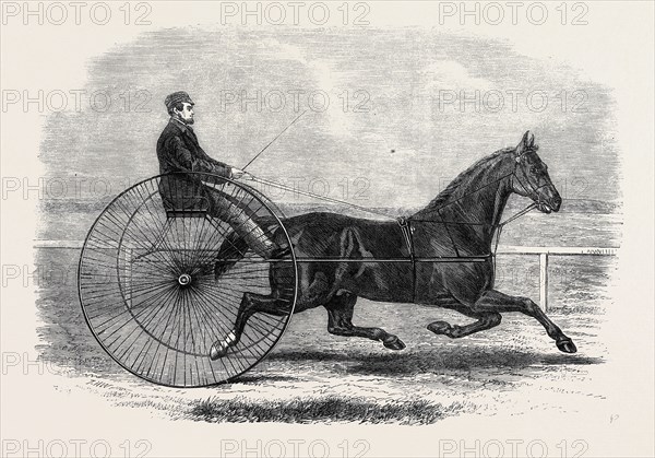 JACKEY, THE WINNER OF THE LATE AINTREE TROTTING STAKES AT LIVERPOOL