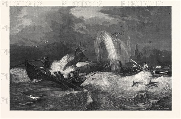 "SOUTH SEA WHALING," BY OSWALD W. BRIERLY IN THE GENERAL EXHIBITION OF WATER COLOUR DRAWINGS, DUDLEY GALLERY, 1868