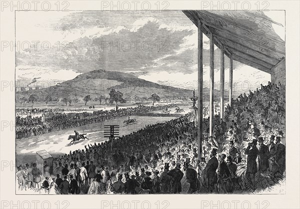 THE ROYAL ARTILLERY STEEPLECHASE AT WOOLWICH, 1868