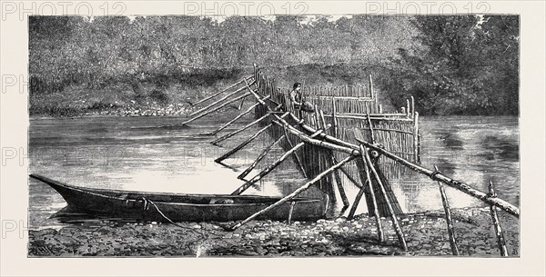 A SALMON WEIR NEAR THE QUAMICHAN INDIAN VILLAGE ON THE COWICHAN RIVER, VANCOUVER ISLAND, CANADA