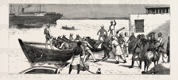 THE REBELLION IN THE SOUDAN (SUDAN), WITH BAKER PASHA'S EXPEDITION TO RELIEVE TOKAR: EMBARKING MULES AT SUAKIM FOR TRINKITAT