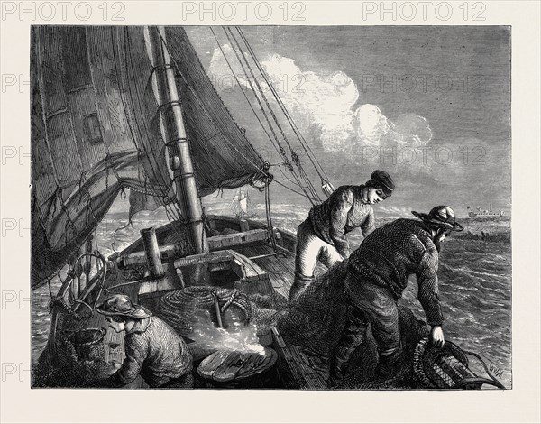 SHRIMPING IN THE MEDWAY, 1870