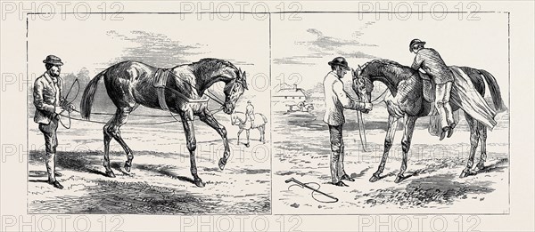 THE TRAINING OF A RACEHORSE: BREAKING THE YEARLING (LEFT); BACKING THE YEARLING (RIGHT), 1870